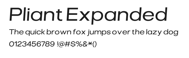 Pliant Expanded Italic.ttf 预览