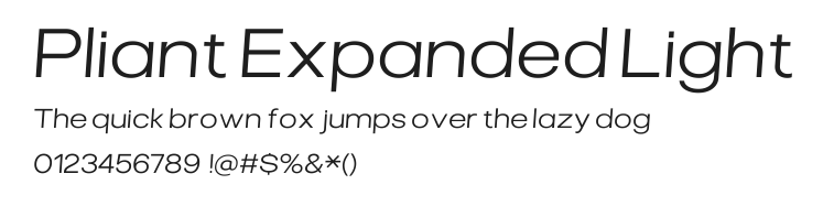 Pliant Expanded Light Italic.ttf 预览