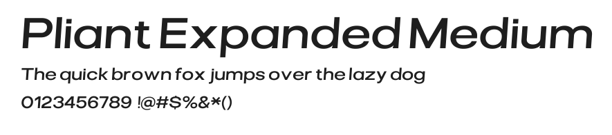 Pliant Expanded Medium Italic.ttf 预览