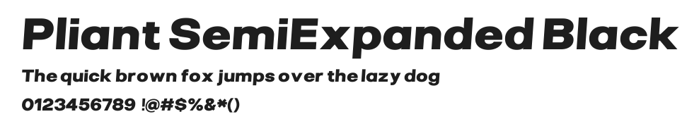 Pliant SemiExpanded Black Italic.ttf 预览